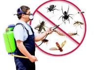 Speedy Pest Control image 7